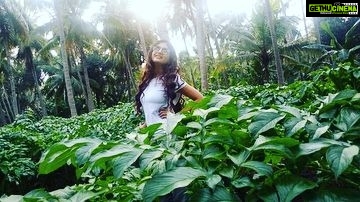 Poonam Kaur Instagram - Kanda तो टा। #gogreen💚