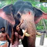 Poonam Kaur Instagram - #ilovebalu #guruvayoor #iloveanimals #vinayukudu