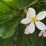 Poonam Kaur Instagram - Ignored spaces have the truest beauty of life #nature #love #peace #life ( clicked by me 😊)