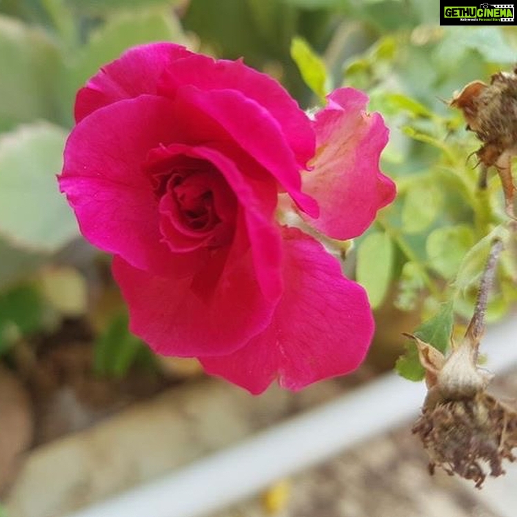 Poonam Kaur Instagram - Ignored spaces have the truest beauty of life #nature #love #peace #life ( clicked by me 😊)