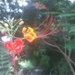 Poonam Kaur Instagram -