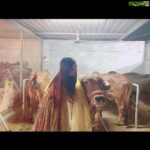 Poonam Kaur Instagram - Wondering the connect #2012 #2014 #2016 #2018 #2020 #hyderabad #rajmundry #kodai #srisailam #tamilnadu #haridwar #ganga #pakistan