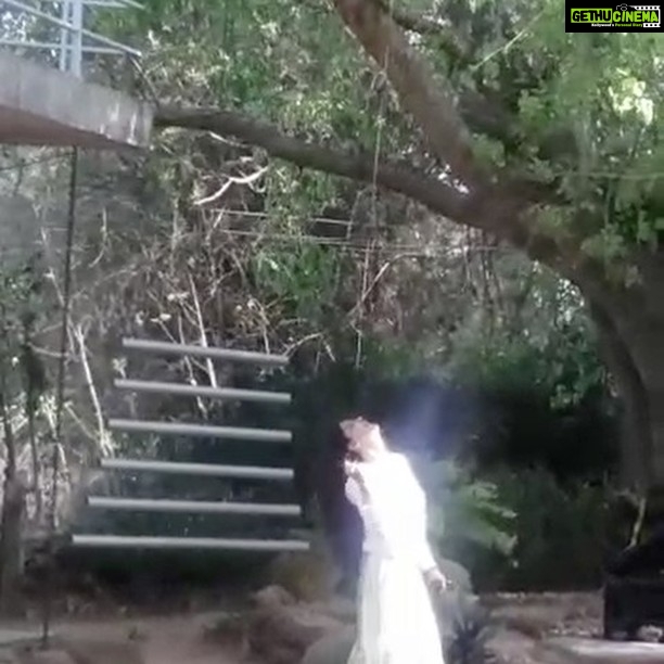 Poonam Kaur Instagram - When the divine light falls onto us ... the sounds of nature create vibrations to which the soul responds #souldance #saraswati #beinginlovewithnature #divinelight #lovetheimpossible #selflove #pklove
