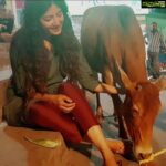 Poonam Kaur Instagram - Wondering the connect #2012 #2014 #2016 #2018 #2020 #hyderabad #rajmundry #kodai #srisailam #tamilnadu #haridwar #ganga #pakistan