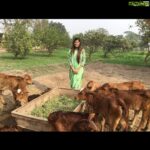 Poonam Kaur Instagram - Wondering the connect #2012 #2014 #2016 #2018 #2020 #hyderabad #rajmundry #kodai #srisailam #tamilnadu #haridwar #ganga #pakistan