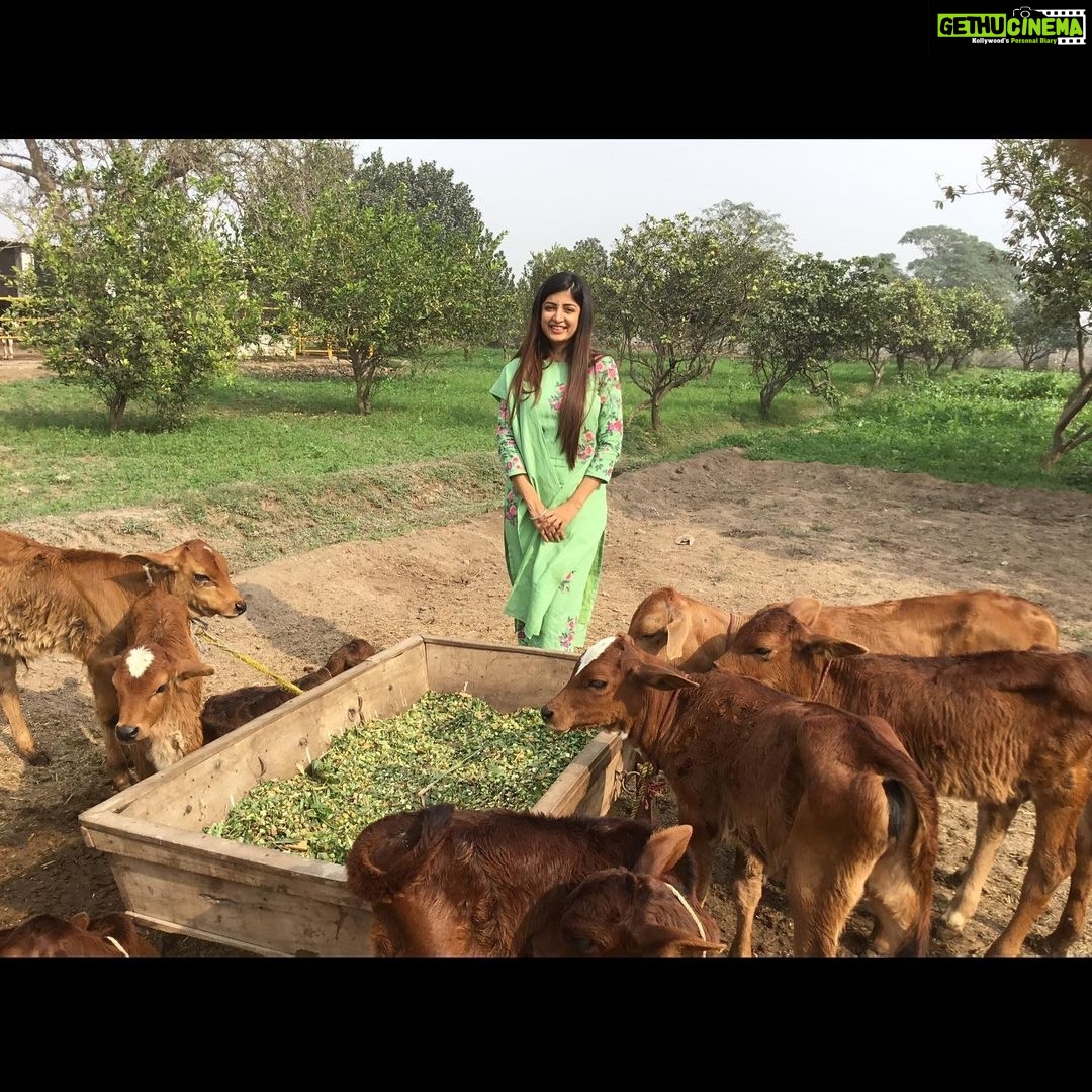Poonam Kaur Instagram - Wondering the connect #2012 #2014 #2016 #2018 #2020 #hyderabad #rajmundry #kodai #srisailam #tamilnadu #haridwar #ganga #pakistan