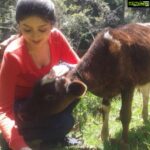 Poonam Kaur Instagram - Wondering the connect #2012 #2014 #2016 #2018 #2020 #hyderabad #rajmundry #kodai #srisailam #tamilnadu #haridwar #ganga #pakistan