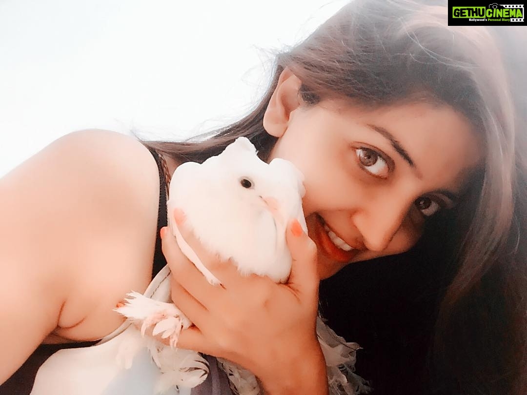 Poonam Kaur Instagram - The very nature ..... The guardian angles !!!!have a great day all of u!!!