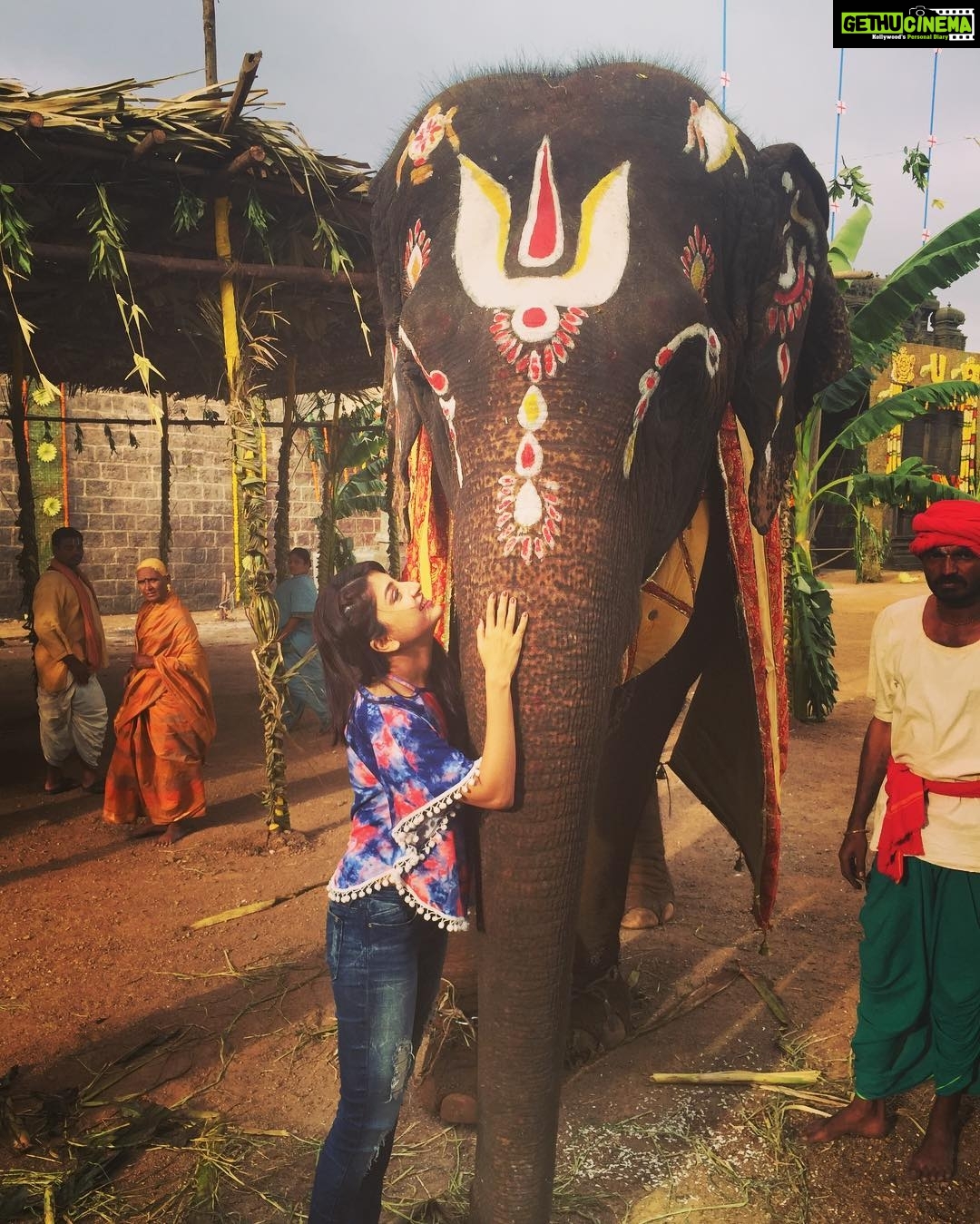Poonam Kaur Instagram - Iloveuganesha #happyganeshchaturti