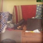 Poonam Kaur Instagram - Now pigeons also require some Mac !!!and I was wondering who steals my make up all the time ....