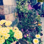 Poonam Kaur Instagram – Garden of love ,peace n happiness to all of u !!! God bless!!! The Mall Road, Shimla