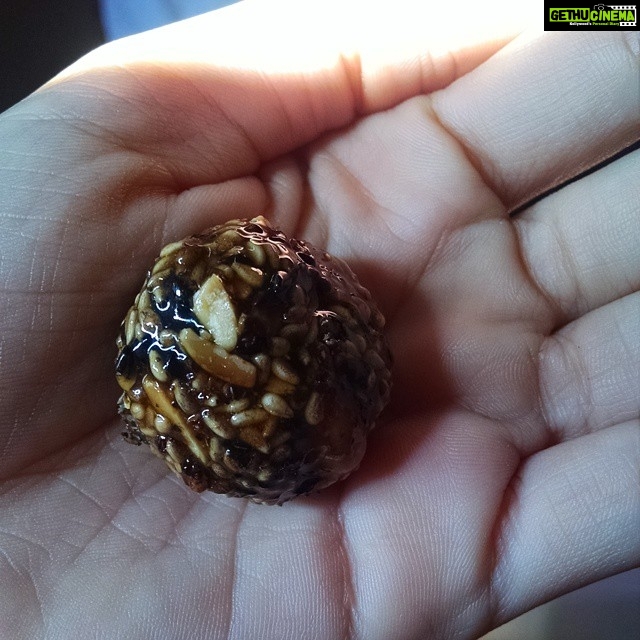 Poonam Kaur Instagram - Mera Fav tilli ka laddu!!!