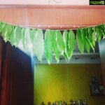 Poonam Kaur Instagram - Simplest tradition which follows for years...mango leaves "toran"....happy ugadi ...