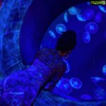Poonam Kaur Instagram – #avatar feels #blue waters