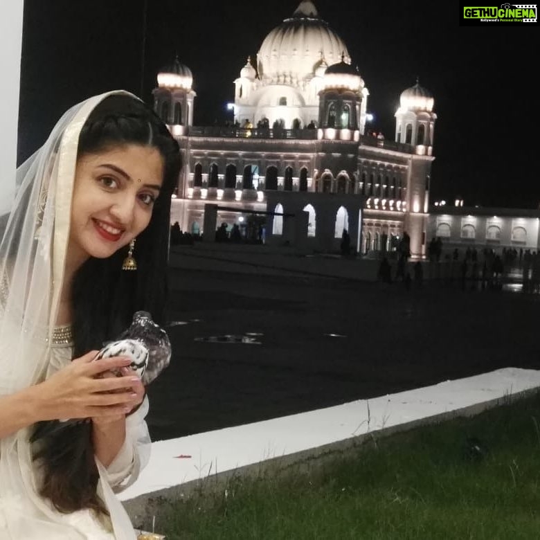 Poonam Kaur Instagram - Released 6 pigeons in the name name of lord,interfaith harmony n love,feel blessed ,this is the only way I could express what feels like now,being able to take mom was a blessing in disguise,may the path to #peace start from #KartarpurCorridor #ekonkar #GuruNanakDevJi 