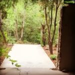 Poonam Kaur Instagram - Mystical place created by #maharishimaheshyogi ..... so many msgs in every wall .... a place every musician should visit .... #trancendentalmeditation .... which place is this ?