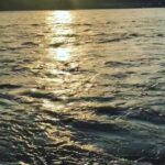 Poonam Kaur Instagram - This is going to be some good food for my soul .... thanking #motherganga and #sadhviji from the bottom of my heart !!!! Mother Ganga held me into her arms for last two years n took care of me like a baby washing away rather splashing away the the dirt untouched !!! “ purity is strength “ #jaigange ... this is the least I can do unconditionally!!! #seva #yogini #poonamkaur #ganga #rishikesh