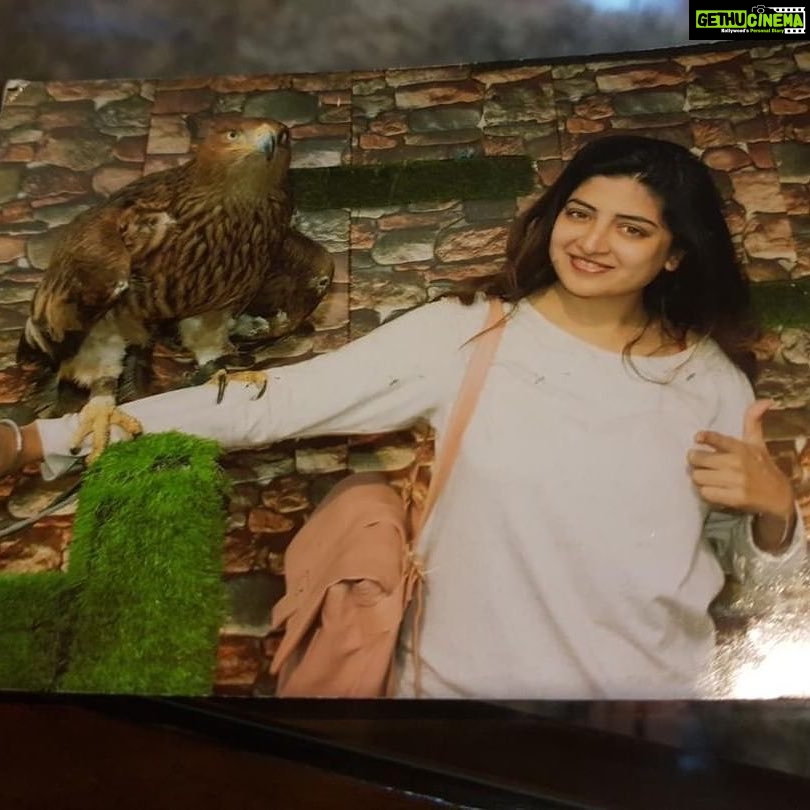 Poonam Kaur Instagram - चिडि़यों से मै बाज तड़ाऊं, सवा लाख से एक लड़ाऊं, तभी गोबिंद सिंह नाम कहाऊं #gurugobindsinghji