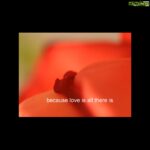 Poonam Kaur Instagram - Wishing u all loads of #unconditionallove ....all that there is ......as love is the emperor of all feelings...#pklove