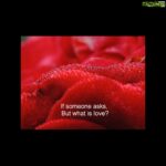 Poonam Kaur Instagram - Wishing u all loads of #unconditionallove ....all that there is ......as love is the emperor of all feelings...#pklove
