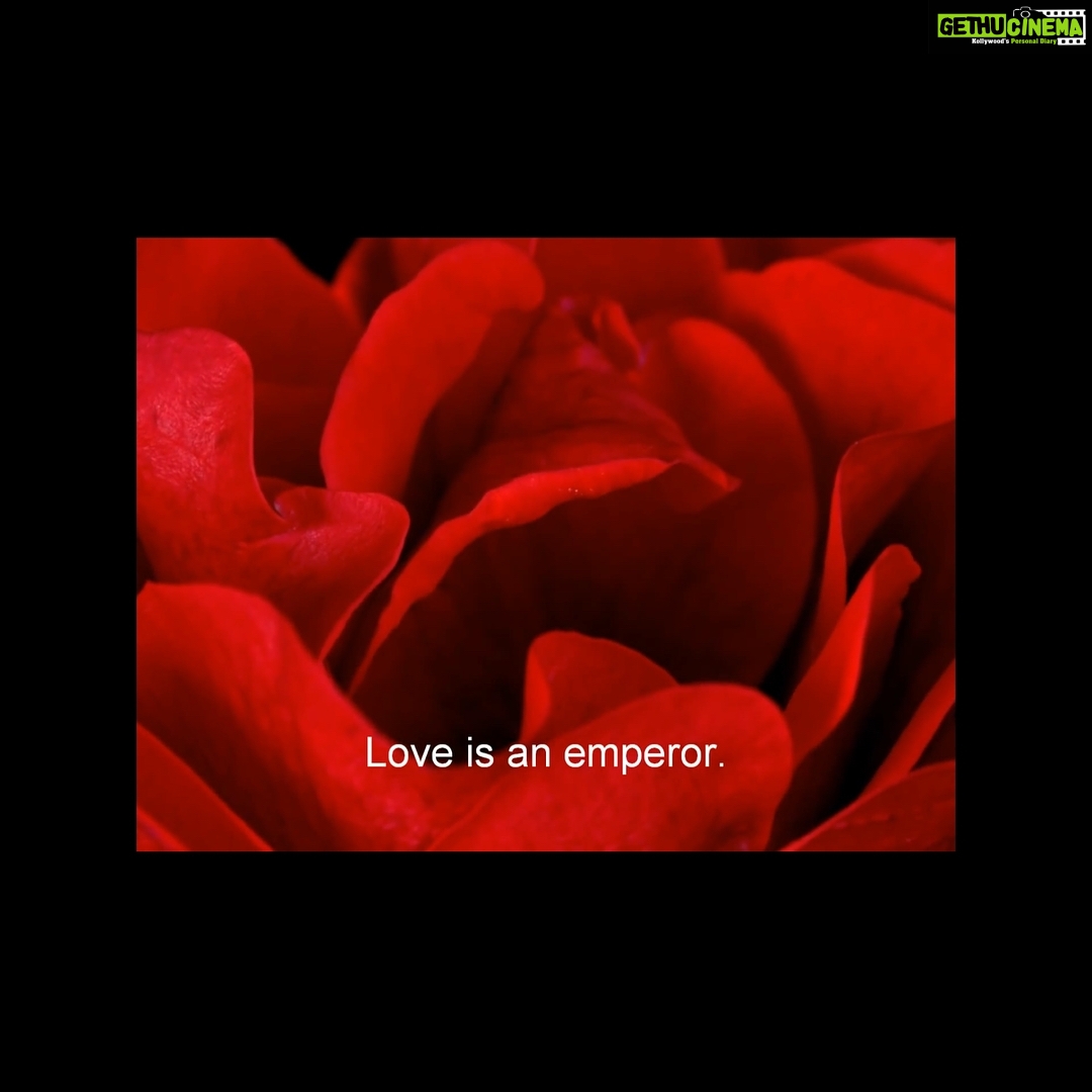 Poonam Kaur Instagram - Wishing u all loads of #unconditionallove ....all that there is ......as love is the emperor of all feelings...#pklove