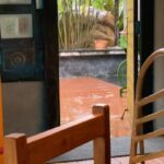 Prakash Raj Instagram – Monsoon rains… ginger tea to sip.. a novel to read .. bliss