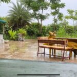 Prakash Raj Instagram - Moments from ..Monsoon in our farm .. bliss