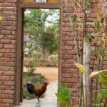 Prakash Raj Instagram – Life in my farm… basking in nature’s pace.. just listening to it …life is beautiful…