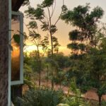 Prakash Raj Instagram – Life in my farm… basking in nature’s pace.. just listening to it …life is beautiful…