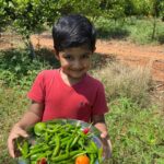 Prakash Raj Instagram – Reaping time in the farm .. in conversation with nature .. bliss .. stay home .. stay safe