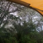 Prakash Raj Instagram - Camping in the rain .... welcoming .... my dear Monsoon WOW .....bliss