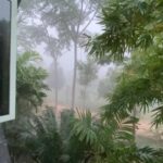 Prakash Raj Instagram – Misty mornings .. life at PRAKASHAM… our farm … bliss