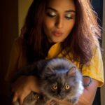 Prayaga Martin Instagram - Never been a cat person. But that's only until the time you meet the right cat. @_its_me_caroline also into photography😉 @pallavidevika on my eyes 👀