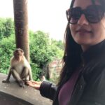 Priyanka Nair Instagram – You attract the energy that you give off.
Spread good vibes.
Think positively.
Enjoy life.🦋
🦋
🦋
🦋
#animallove#traveldiary#madness#traveller#actress#priyankanair#hillstation#monkeys #love#trucking#instatravel#instagram