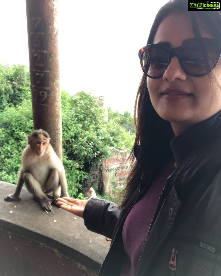 Priyanka Nair Instagram - You attract the energy that you give off. Spread good vibes. Think positively. Enjoy life.🦋 🦋 🦋 🦋 #animallove#traveldiary#madness#traveller#actress#priyankanair#hillstation#monkeys #love#trucking#instatravel#instagram