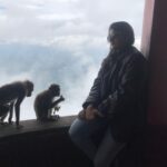 Priyanka Nair Instagram - You attract the energy that you give off. Spread good vibes. Think positively. Enjoy life.🦋 🦋 🦋 🦋 #animallove#traveldiary#madness#traveller#actress#priyankanair#hillstation#monkeys #love#trucking#instatravel#instagram