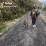 Priyanka Nair Instagram - Funny moments..🙊🤷‍♀️ - - - #funnymoments#tiktok#vijaysethupathy#myfavriotsong#shootingtime#munnar#varayadu#neelakurinji#hillstation#deadlycombo#priyankanair#priyanka#bollywood#tollywood#kollywood#tollywood#malluwood#malluactress#southindianactress#traveller#blogger#solotraveller#findinglove#happiness#withmypeople#photoshoot#magazine#movies Munnar
