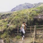 Priyanka Nair Instagram - Neelakurinji days.... - - - #neelakurinji#moonnar#rajamala#priyankanair#travelholic#priyanka#instagram Munnar