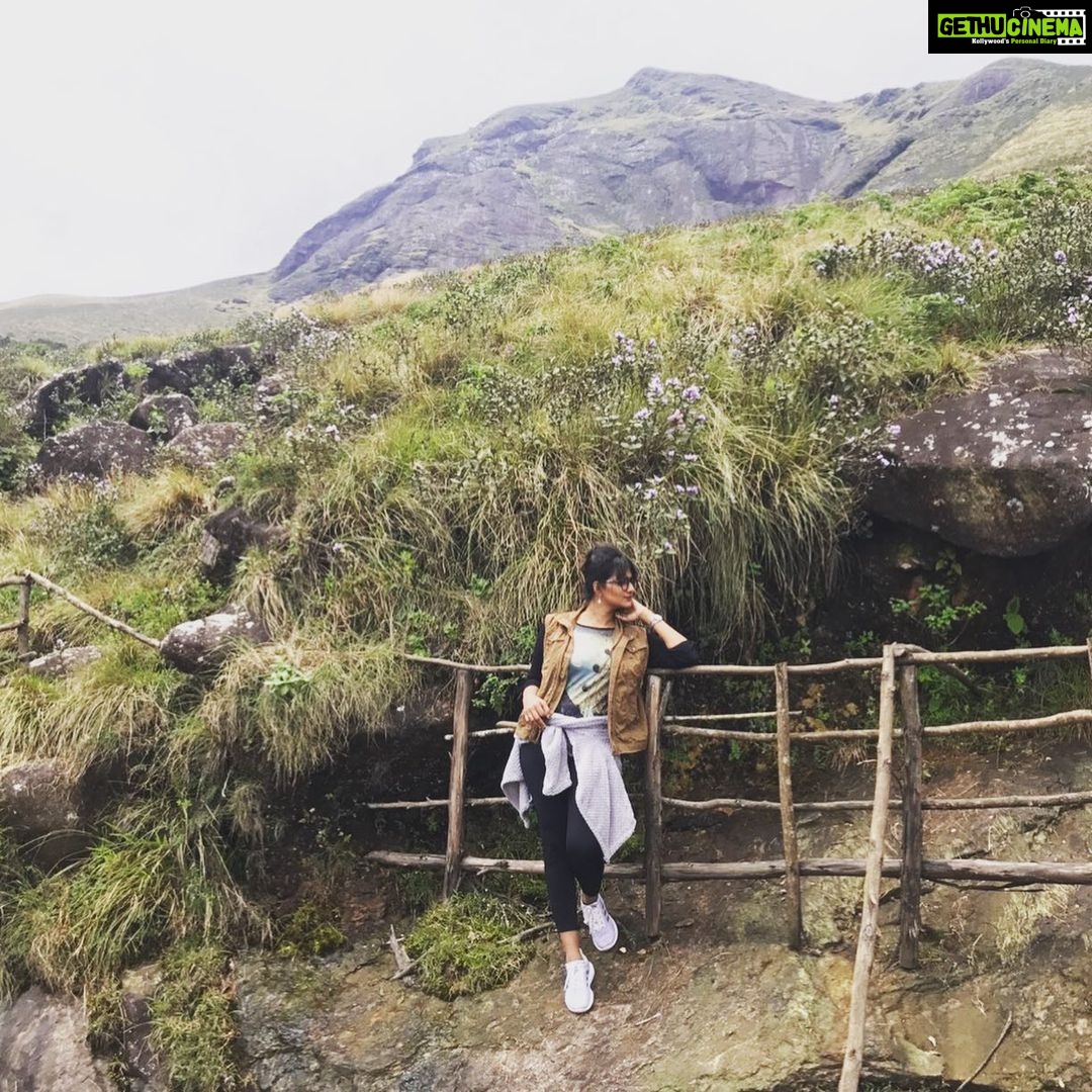 Priyanka Nair Instagram - Neelakurinji days.... - - - #neelakurinji#moonnar#rajamala#priyankanair#travelholic#priyanka#instagram Munnar