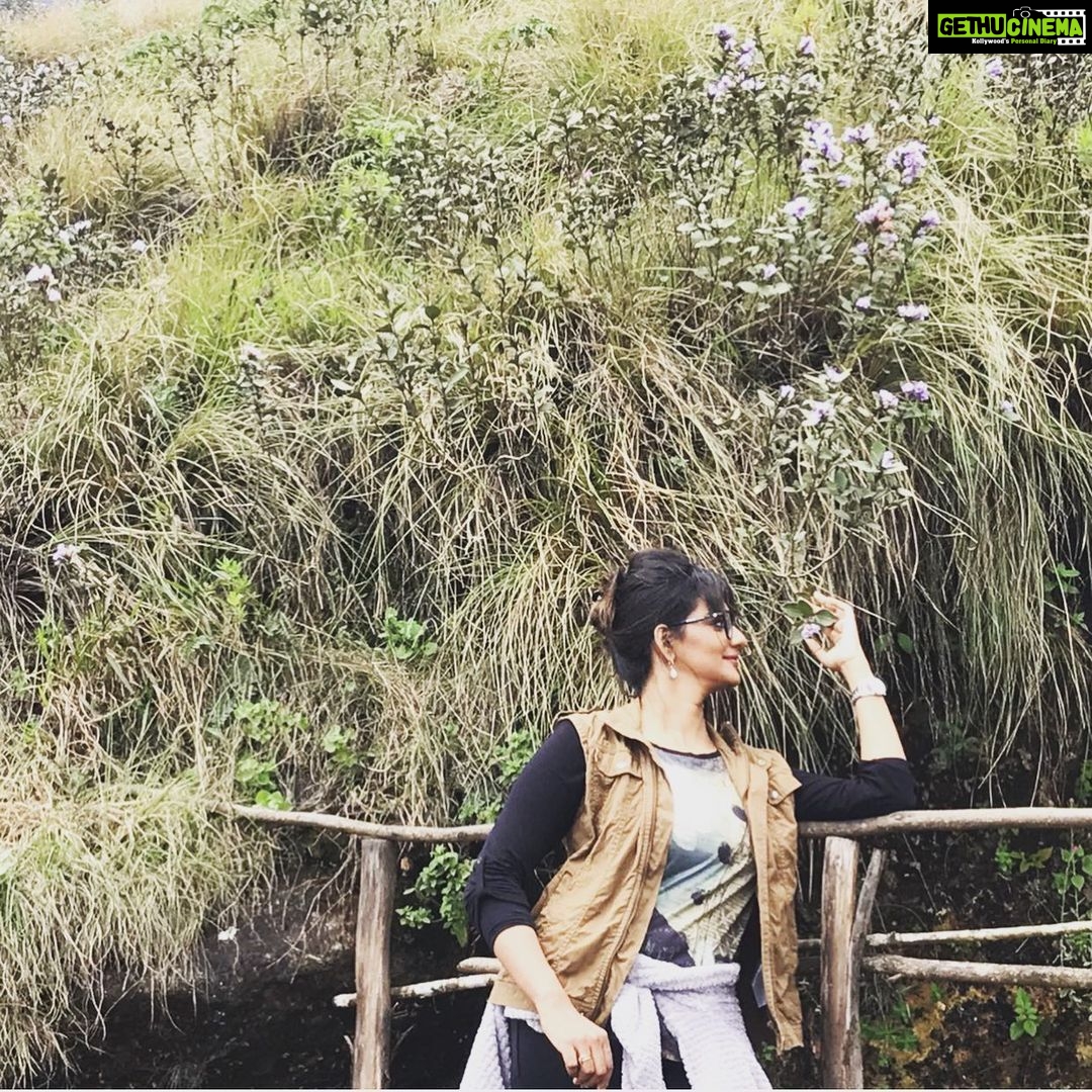 Priyanka Nair Instagram - Neelakurinji days.... - - - #neelakurinji#moonnar#rajamala#priyankanair#travelholic#priyanka#instagram Munnar