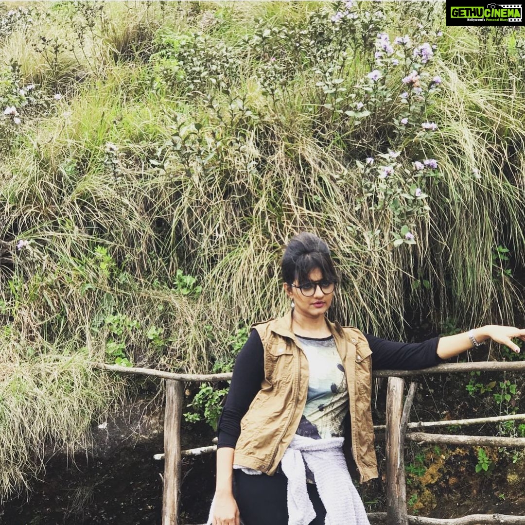 Priyanka Nair Instagram - Neelakurinji days.... - - - #neelakurinji#moonnar#rajamala#priyankanair#travelholic#priyanka#instagram Munnar