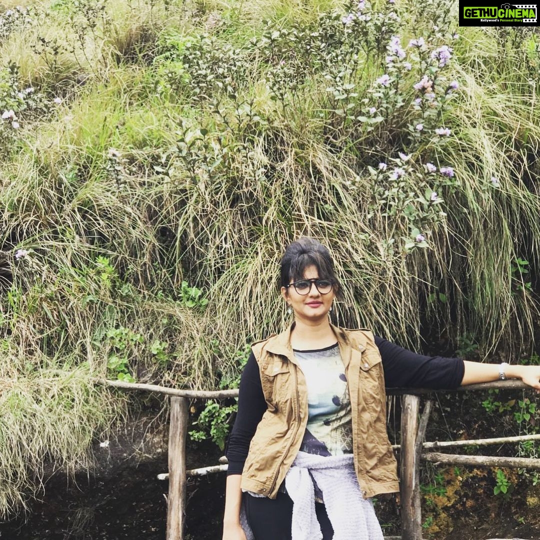 Priyanka Nair Instagram - Neelakurinji days.... - - - #neelakurinji#moonnar#rajamala#priyankanair#travelholic#priyanka#instagram Munnar
