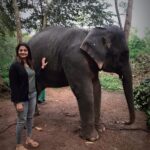 Priyanka Nair Instagram –  Elephant Rehabilitation Centre, Kappukadu