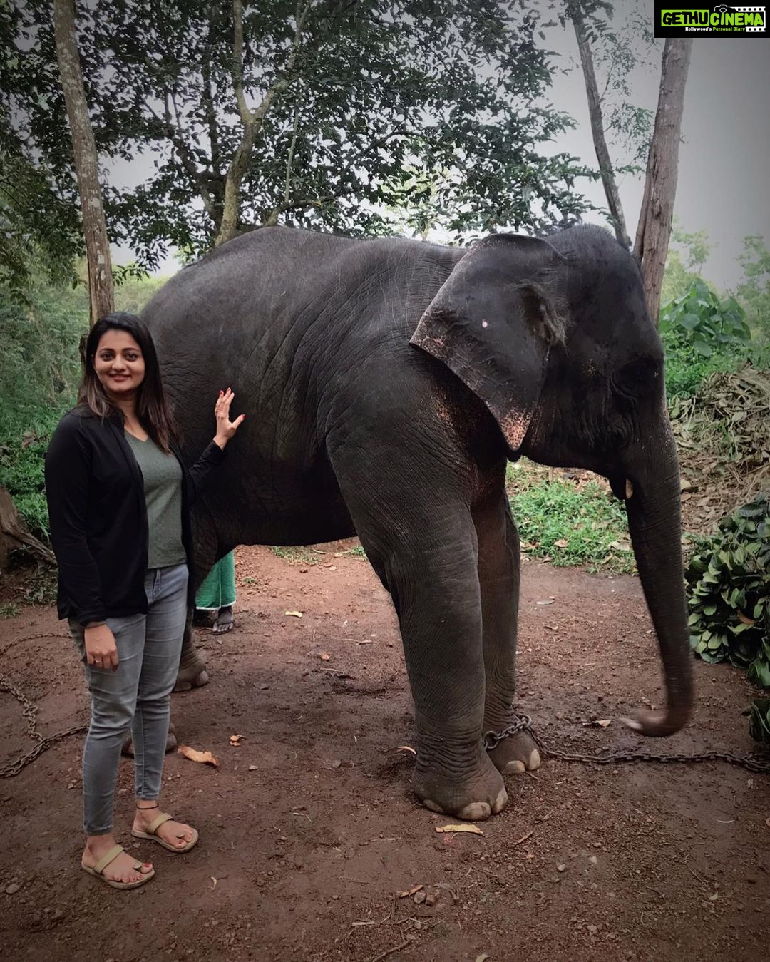 Priyanka Nair Instagram - Elephant Rehabilitation Centre, Kappukadu