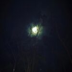 Priyanka Nair Instagram - #fullmoon #inforest #skylover