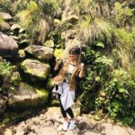 Priyanka Nair Instagram – Inspired in nature 🍃🍃
–
–
–
#nature#naturelove#selflove#traveller#priyankanair#actress#southindianactress#malluactress#bollywoodtollywoodkollywood#malayalam#malayali#moonnar#rajamala#instaday#instapic#instagram Rajamala