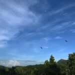 Priyanka Nair Instagram – #mooninthedaysky 
View from my terrace 🍃
#naturelove#photography#moon#sky#green#home Home