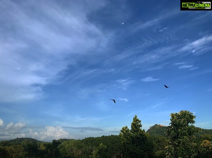 Priyanka Nair Instagram - #mooninthedaysky View from my terrace 🍃 #naturelove#photography#moon#sky#green#home Home