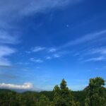 Priyanka Nair Instagram - #mooninthedaysky View from my terrace 🍃 #naturelove#photography#moon#sky#green#home Home