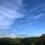 Priyanka Nair Instagram – #mooninthedaysky 
View from my terrace 🍃
#naturelove#photography#moon#sky#green#home Home